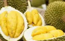 Xuất khẩu rau quả kỳ vọng vượt mốc 8 tỷ USD năm 2025